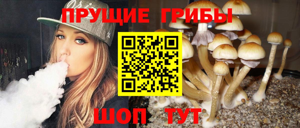 Псилоцибиновые грибы MAGIC MUSHROOMS  Вход с VPN  продажа наркотиков  Видное 