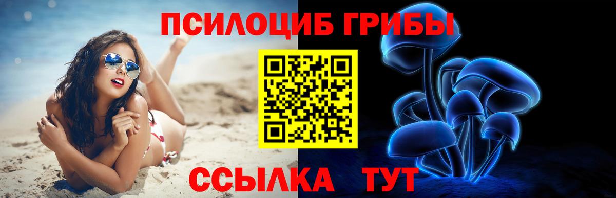 Псилоцибиновые грибы Cubensis Видное